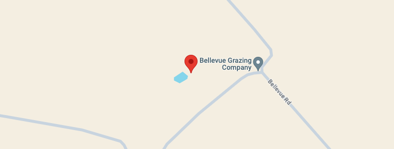 Bellevue Dorpers map